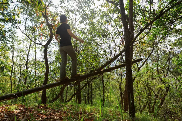 Турист Идущий Упавшему Стволу Дерева Лесу — стоковое фото