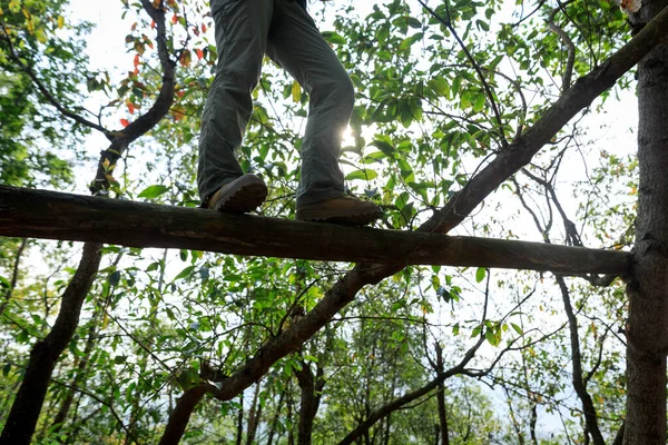 Caminhante Andando Tronco Árvore Caído Floresta — Fotografia de Stock