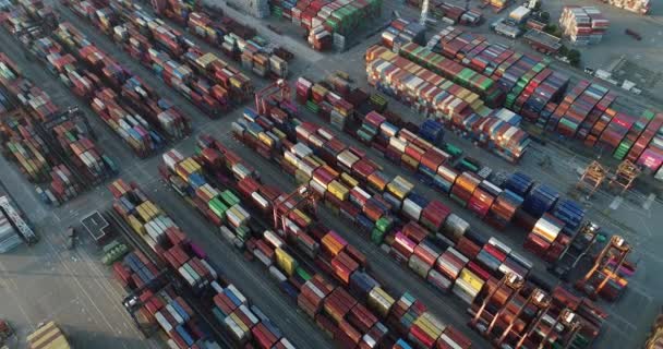 深セン市の延田港の海上貨物コンテナの空中ビュー — ストック動画