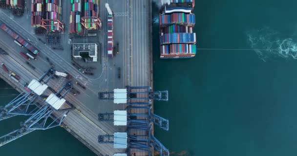 Vista Aérea Terminal Contêineres Yantian Cidade Shenzhen China — Vídeo de Stock