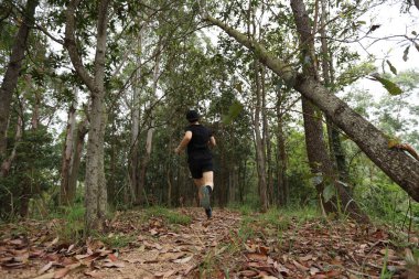 Kadın koşucu orman yolunda koşuyor.