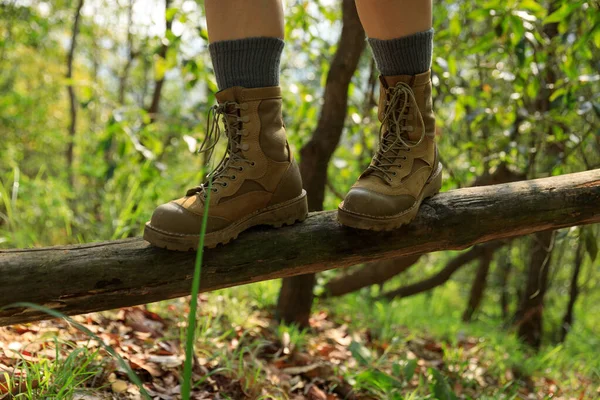 Wandelaar Lopend Een Omgevallen Boomstam Het Bos — Stockfoto