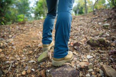 Bahar Ormanı dağlarında yürüyüş