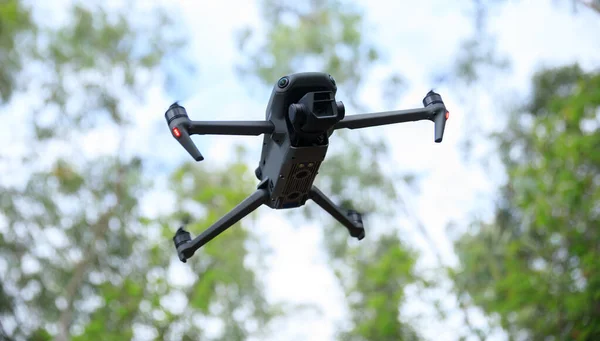 Drone Vliegt Het Voorjaarsbos — Stockfoto