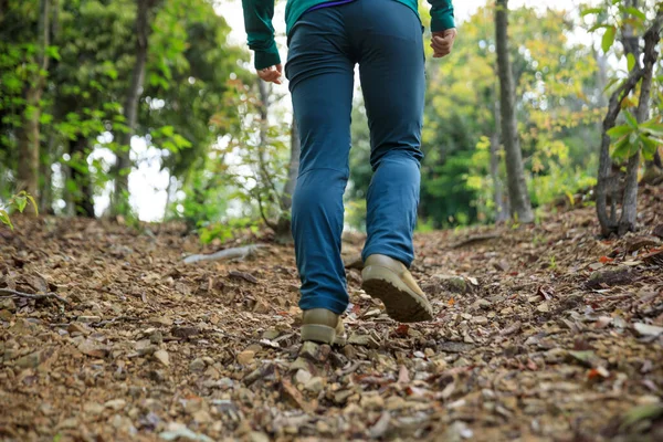 Bahar Ormanı dağlarında yürüyüş