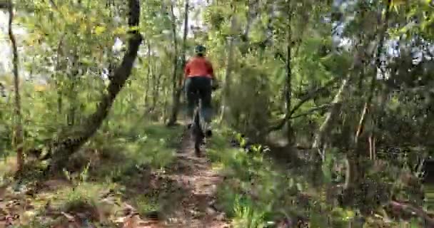 Footage Young Woman Riding Bike Green Forest — Stock video