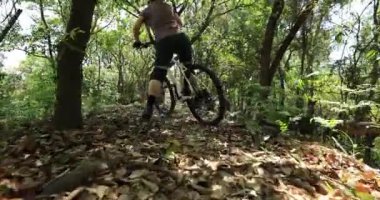 Yeşil bir ormanda bisiklet süren genç bir kadının görüntüleri.