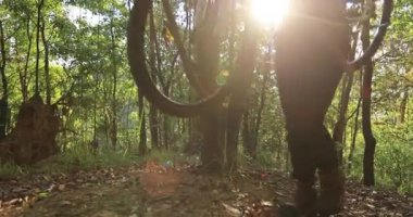 Ormanda bisiklet taşıyan bir kadın. Gün batımına yakın bir yerde..