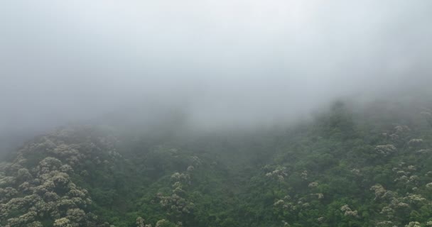 Vista Aérea Del Tiempo Brumoso Las Montañas — Vídeos de Stock