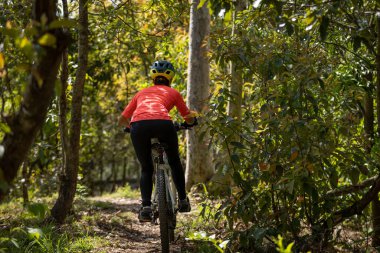 Bahar ormanında dağ bisikleti