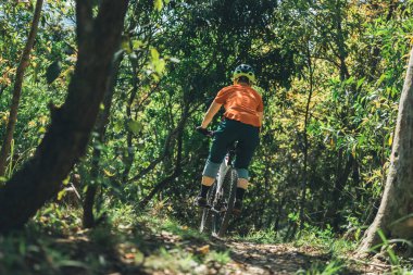 Bahar ormanında dağ bisikleti