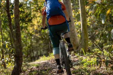 Bahar ormanında dağ bisikleti