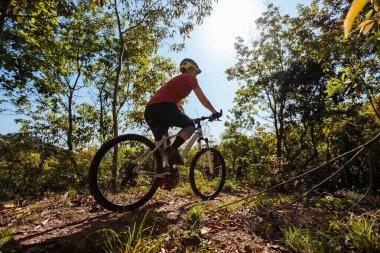 Bahar ormanında dağ bisikleti