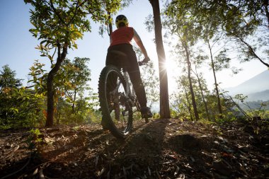 Bahar ormanında dağ bisikleti