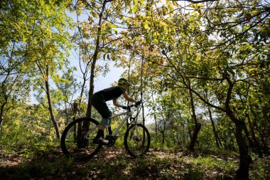 Bahar ormanı patikasında dağ bisikleti