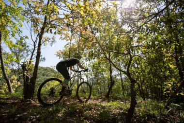Bahar ormanı patikasında dağ bisikleti