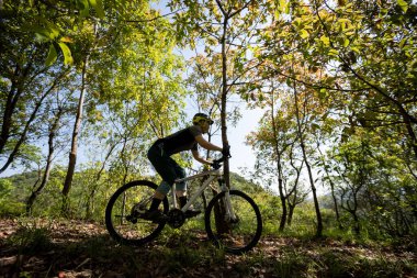 Bahar ormanı patikasında dağ bisikleti