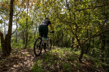 Bahar ormanı patikasında dağ bisikleti