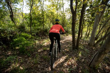 Bahar ormanı patikasında dağ bisikleti