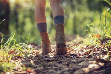 Orman iz hiking kadın uzun yürüyüşe çıkan kimse