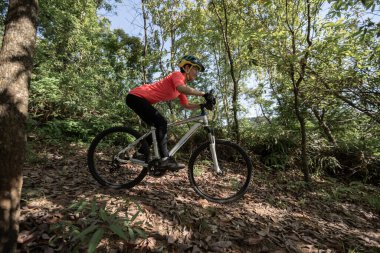 Bahar ormanı patikasında dağ bisikleti