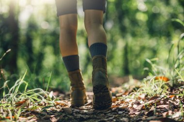 Orman iz hiking kadın uzun yürüyüşe çıkan kimse