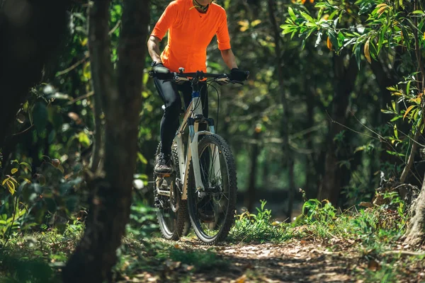 Bahar Ormanında Dağ Bisikleti — Stok fotoğraf