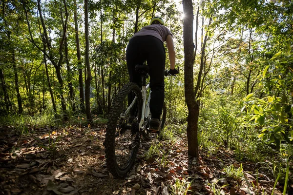 春天森林里的山地自行车 — 图库照片