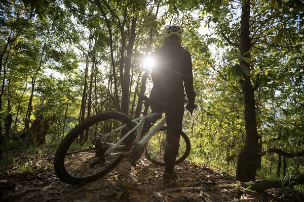 Mountain Bike Nella Foresta Primaverile — Foto Stock