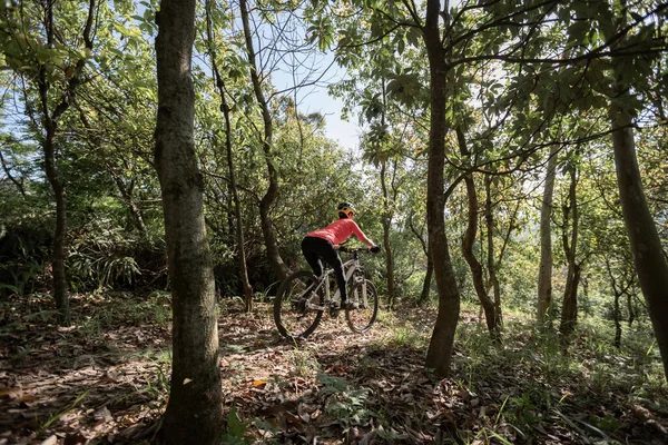 Ciclismo Montaña Sendero Del Bosque Primavera — Foto de Stock