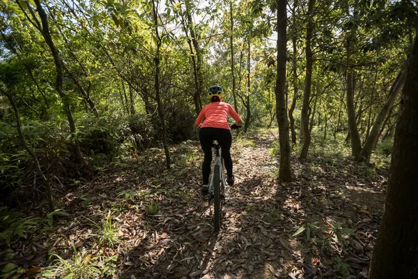 Mountain Biking Spring Forest Trail — Stock Photo, Image