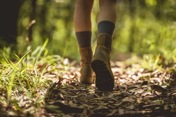 Wanderin Wandert Auf Waldweg — Stockfoto
