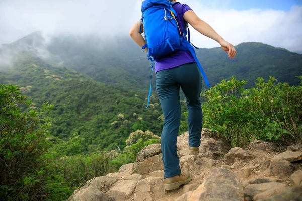 Successful Hiker Walking Spring Mountain Top — Stock Photo, Image