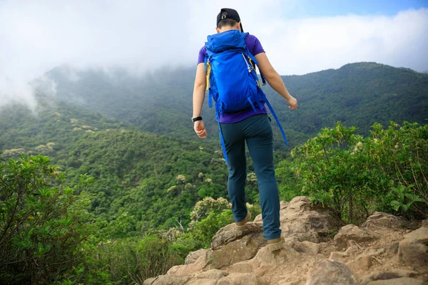 Succesvolle Wandelaar Wandelen Bergtop Van Lente — Stockfoto