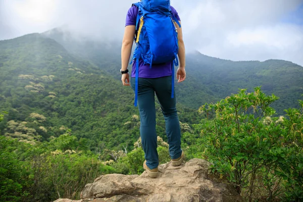 Successful Hiker Looking View Spring Mountain Top — Stock Photo, Image