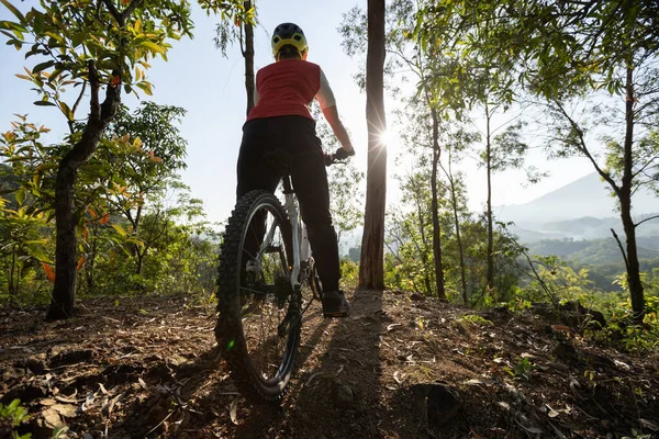 Mountain Bike Nella Foresta Primaverile — Foto Stock