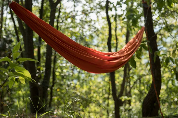 Hamaca Colgando Bosque Tropical — Foto de Stock