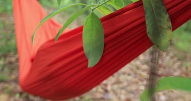 Tropikal ormanda hamakta dinleniyor