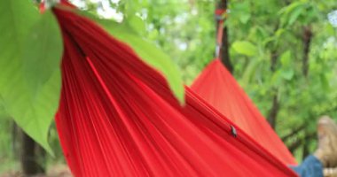 Tropikal ormanda hamakta dinleniyor