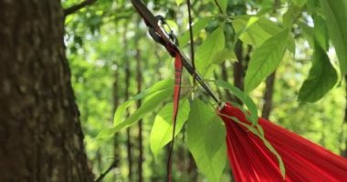 Tropikal ormanda hamakta dinleniyor