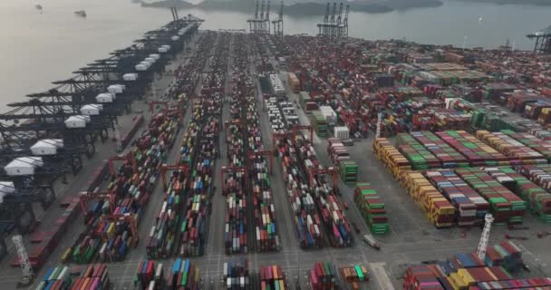 Widok Lotu Ptaka Terminal Kontenerowy Shenzhen Chiny — Wideo stockowe