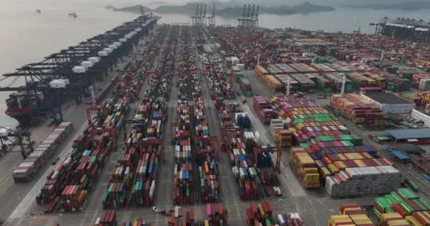 Vista Aerea Del Terminal Container Yantiano Nella Città Shenzhen Cina — Video Stock