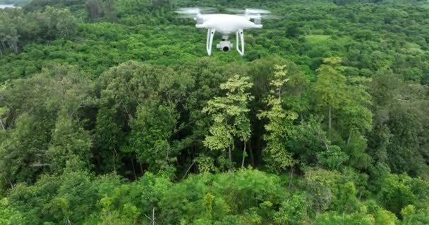 Vista Aérea Del Dron Volando Sobre Bosque Verde Paisaje Natural — Vídeos de Stock