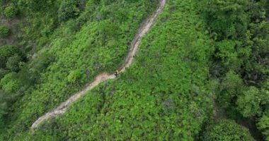Tropikal orman patikasındaki yürüyüşçü kadınların hava manzarası.