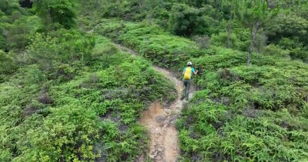 熱帯林歩道での女性ハイカーハイキングの空中ビュー — ストック動画