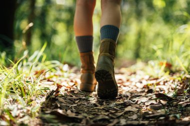 Orman iz hiking kadın uzun yürüyüşe çıkan kimse