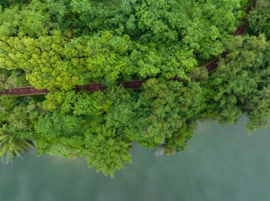 Göl kenarındaki ormanda saklanan patika.