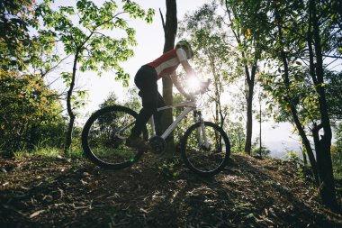 Bahar ormanında dağ bisikleti