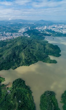 Göl kenarındaki ormanın güzel manzarası