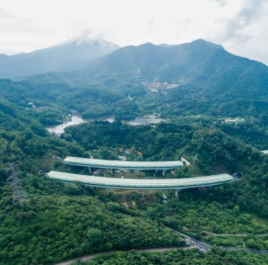 Göl kıyısındaki ormandaki manzara